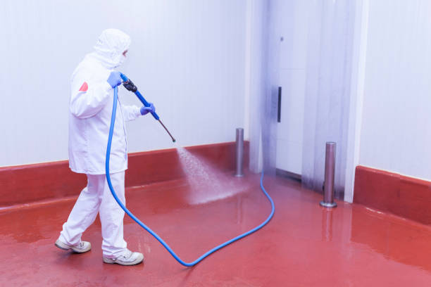 Best Driveway Pressure Washing  in Monmouth Beach, NJ